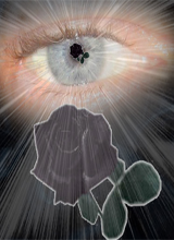 Avatar pic
