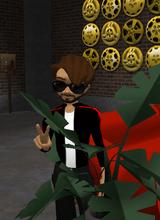 Guest_Steve342