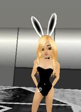 Guest_iluzie