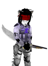 Junpeilocal