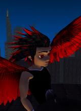 Guest_acecorry