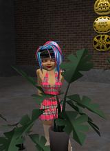avatar image
