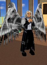 Guest_sephiroth2black