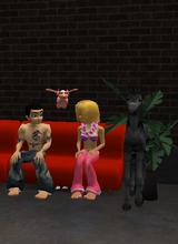 Guest_oceandolphin13