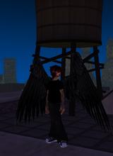 Guest_DiAvron