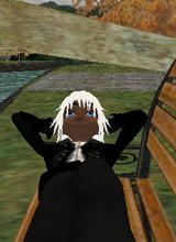 avatar picture