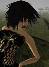 Guest_Neek75