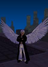 Jax3737