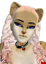 bloodywhitewolfrose