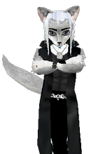 MasterTico