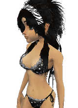 Guest_Speedra91