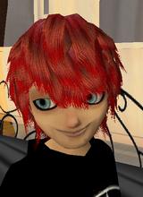 Guest_raul1314