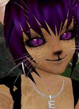 StellaBean