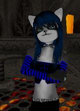 Guest_DMCGRL