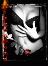 MacksDragonRose