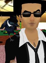 donnyrocco