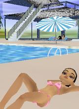 Guest_hotfox3