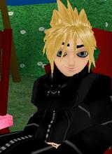 Guest_organizationvll
