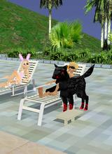Guest_valert