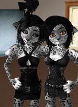 Guest_veronicamar