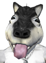 sgtncharge