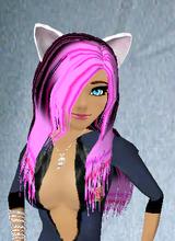 Guest_MiawCat