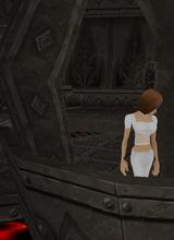 Guest_zoom10