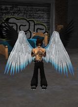 aceswild11