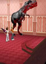 Guest_Dom5416