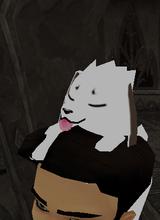 Guest_hawkins08