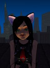 Guest_NyaW