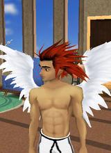 Guest_steve1769