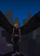 Guest_MaximumRide81092