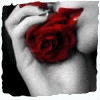 Guest_AnnaysGrl