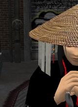 Guest_Rikuninja
