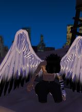 Guest_CluGuy