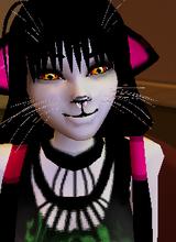Guest_Baihu