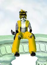 RaccoonKai