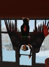 Guest_mrlodo