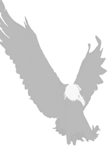 GraiEagle