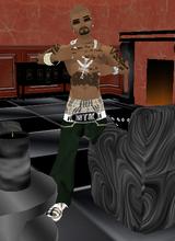 rnapound_disabled_13352917