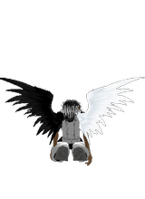Guest_AbeoDaikaze