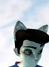 Guest_Zeions