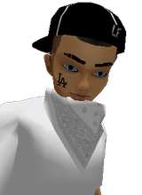Guest_qubanpimp305