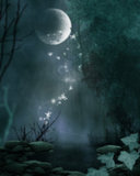 Guest_dragonlover105
