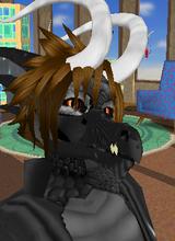 Guest_draghus