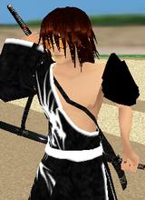 RadelSkyheart
