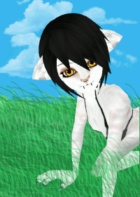 xKitteh