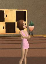 Guest_Erica1155