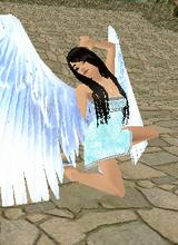 chobits1200